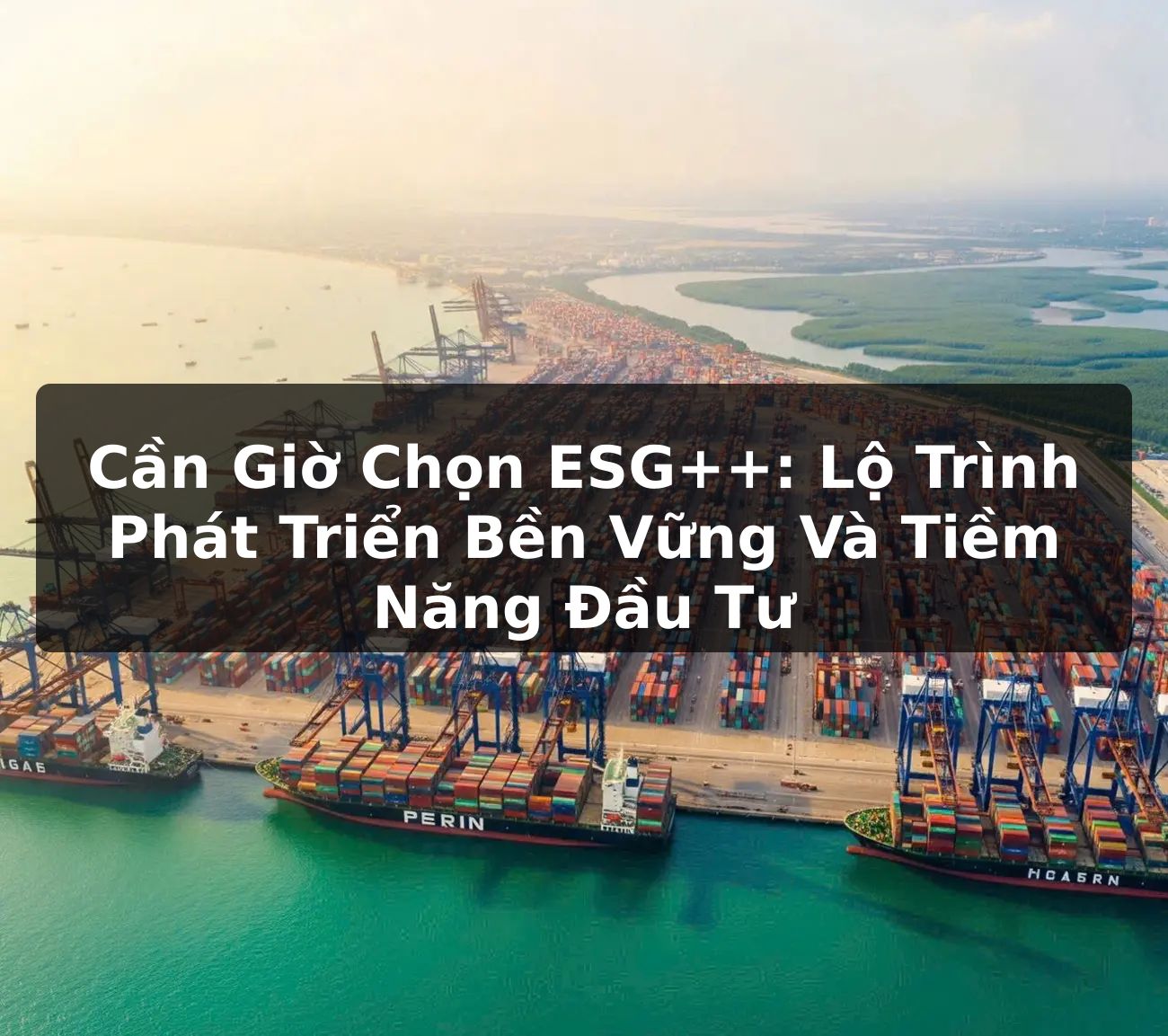 Cần Giờ Chọn ESG++: Lộ Trình Phát Triển Bền Vững Và Tiềm Năng Đầu Tư