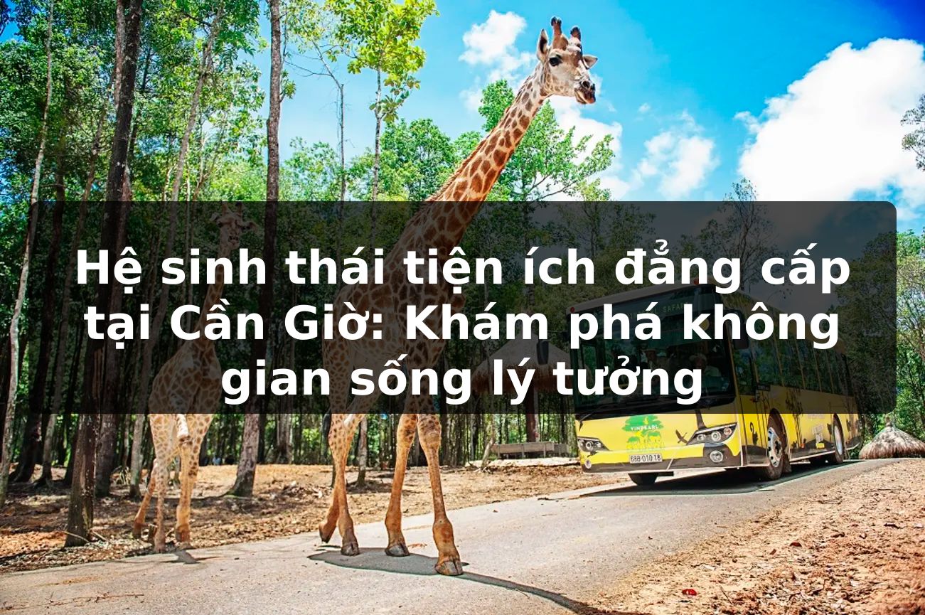 Hệ sinh thái tiện ích đẳng cấp tại Cần Giờ: Khám phá không gian sống lý tưởng