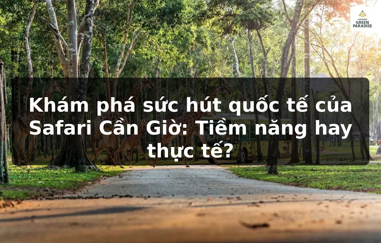 Khám phá sức hút quốc tế của Safari Cần Giờ: Tiềm năng hay thực tế?