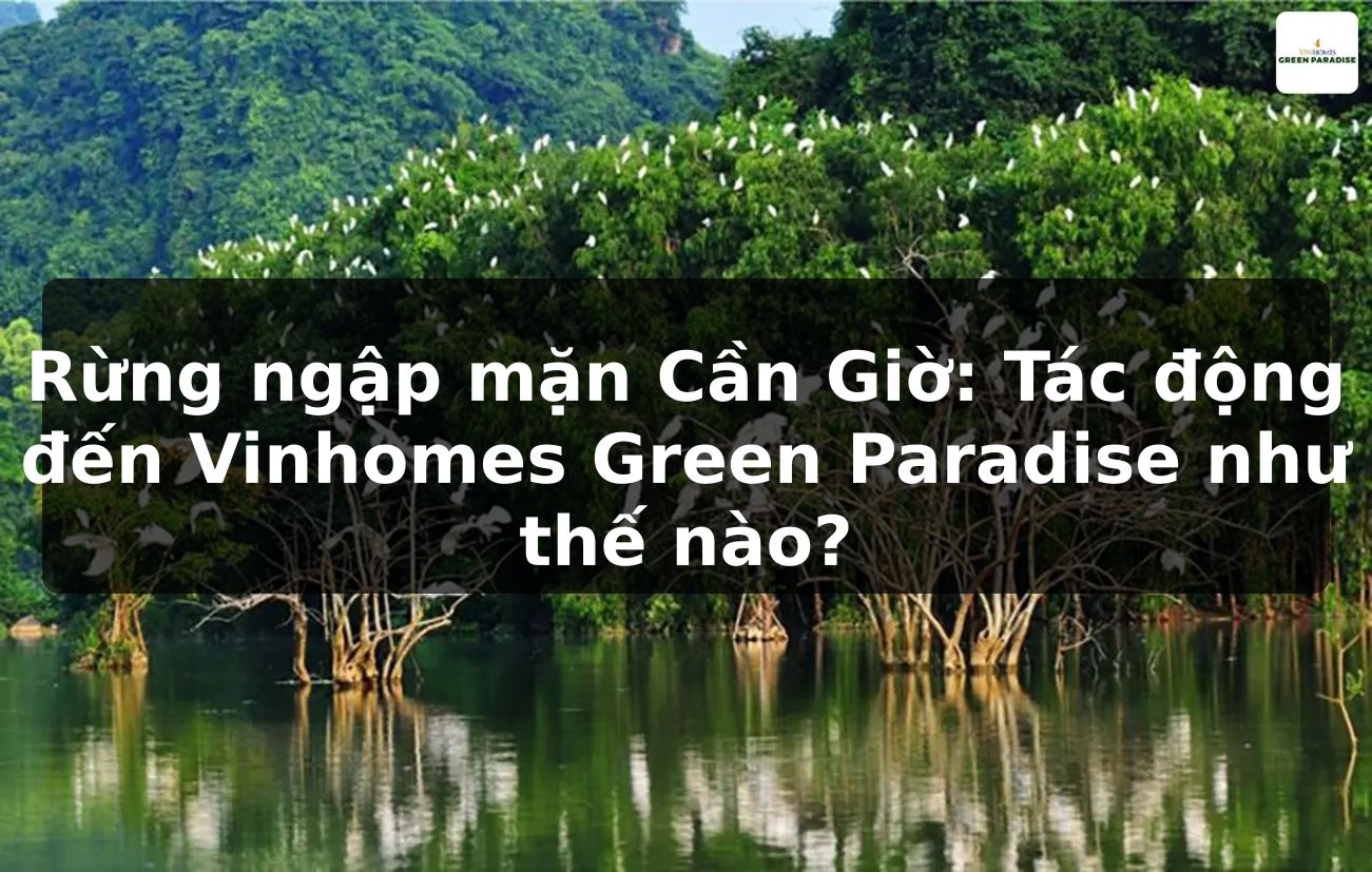 Rừng ngập mặn Cần Giờ: Tác động đến Vinhomes Green Paradise như thế nào?