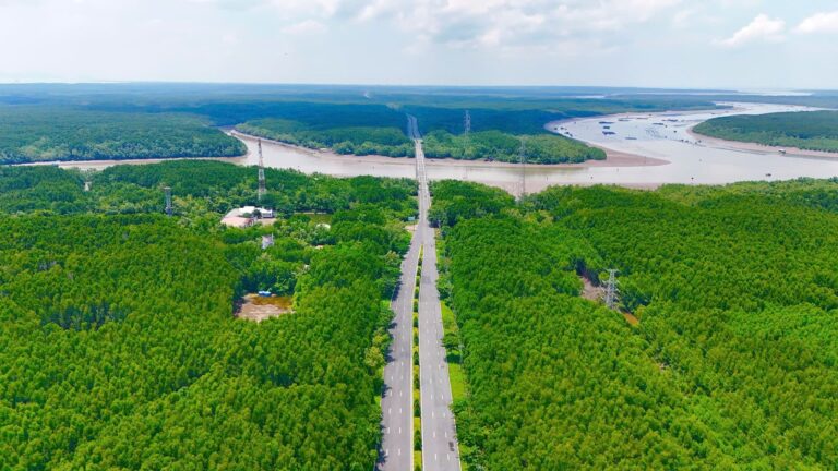 Khám phá cung đường xanh tại Vinhomes Green Paradise Cần Giờ