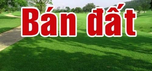 Bí Quyết Bán Đất Thổ Cư Nhanh Chóng: Kinh Nghiệm Thực Tế