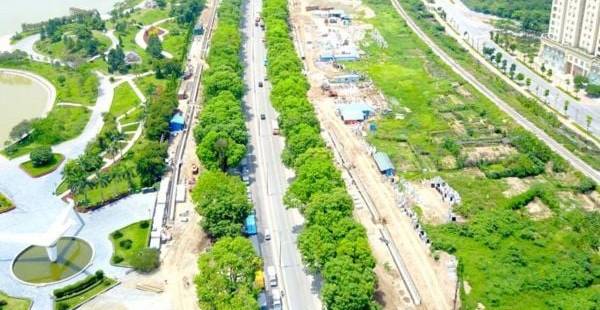 Đất Hỗn Hợp Là Gì? Bí Quyết Chọn Mua Đất Tốt Nhất