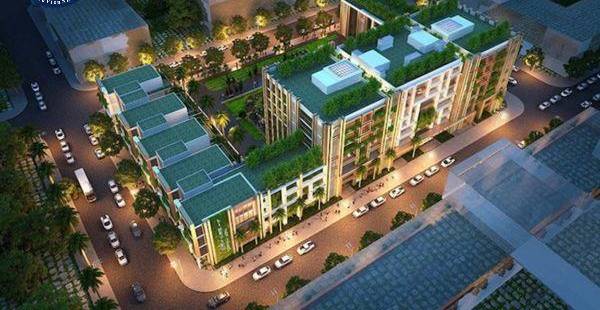 Giải Mã Thuật Ngữ Giao Dịch Bất Động Sản: A-Z