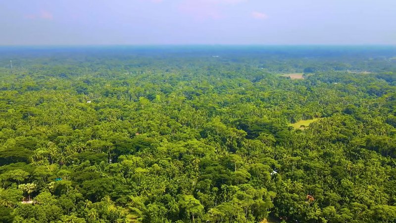 image-khu-nghi-duong-vinhomes-can-gio-hut-nha-dau-tu-du-chua-xay-dung-ly-do-bat-ngo-10